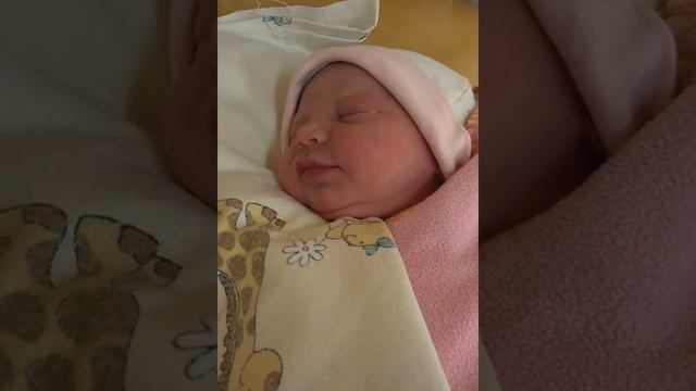 Elusia :) смотреть онлайн