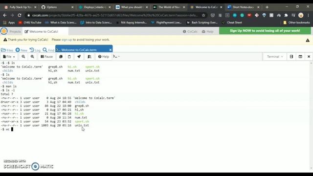 Basic commands of UNIX #UNIX смотреть онлайн