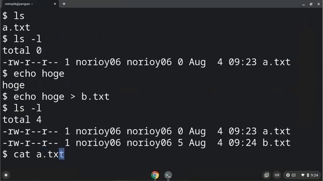 Getting Started with Linux Commands 01. File operation смотреть онлайн