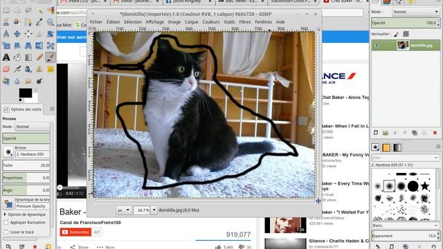 Linux Mint 17.1 (français) смотреть онлайн