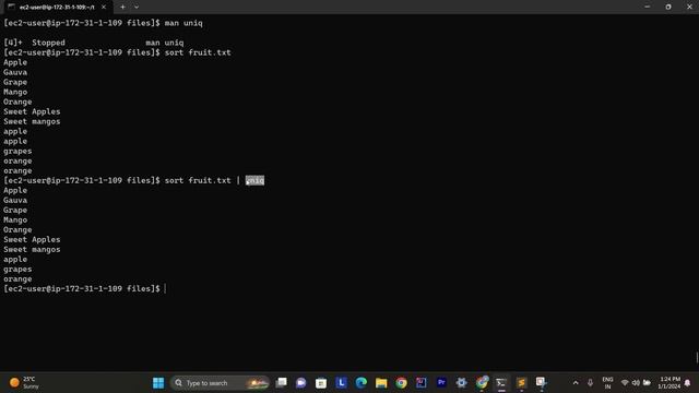 Use of wc sort uniq || CLI || Use of Linux Cmd смотреть онлайн