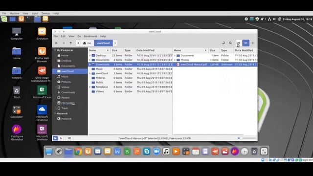 Feather Information Linux Mint workstation desktop смотреть онлайн