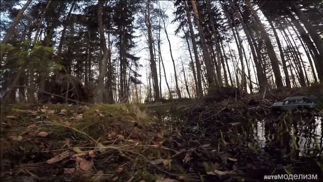 TRX4 Vs SCX10 в болоте