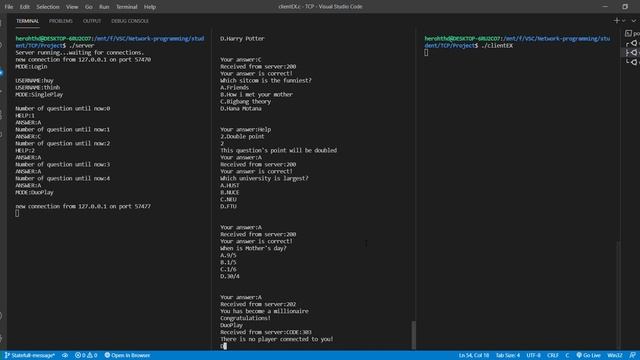 Demo socket programming application using C programming language смотреть онлайн