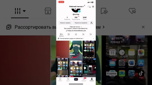 Applelicious Wonderland