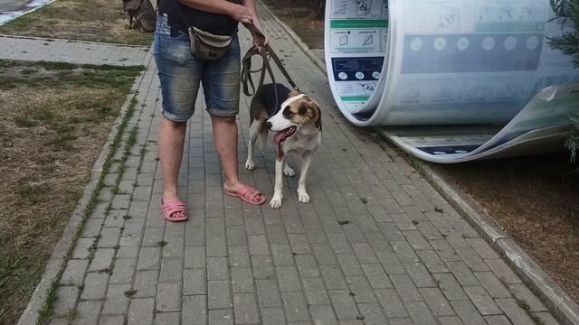 Бентли 31.07.21