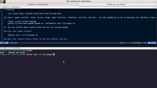 lila on fedora | how I set up a dev environment смотреть онлайн