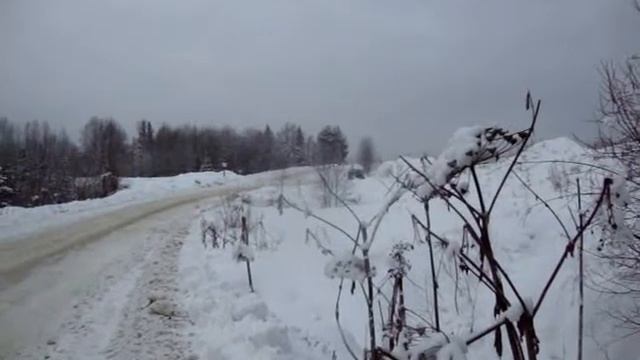 Testy 2 смотреть онлайн
