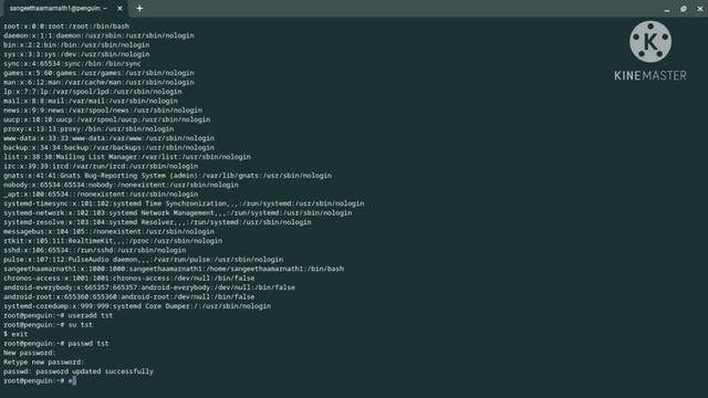 Commands You NEED To Know When You START A Linux Server! w/Chromebook смотреть онлайн