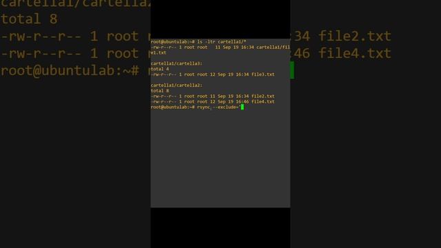 Utilizzo Di Rsync Con Exclude #rsync #backup #linux смотреть онлайн
