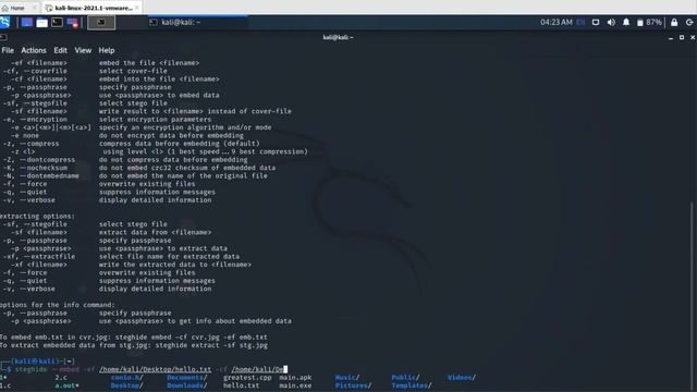 Hide any secret file(audio,video,text) in any Normal file In less than 5 min. смотреть онлайн