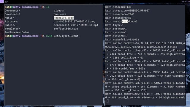 OpenBSD Enabling and Disabling Core Dump Generation смотреть онлайн