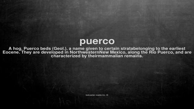 What does puerco mean смотреть онлайн