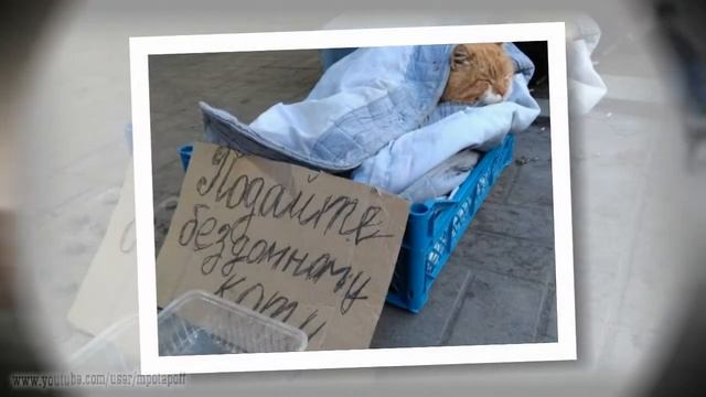 Побудка для нищих смотреть онлайн