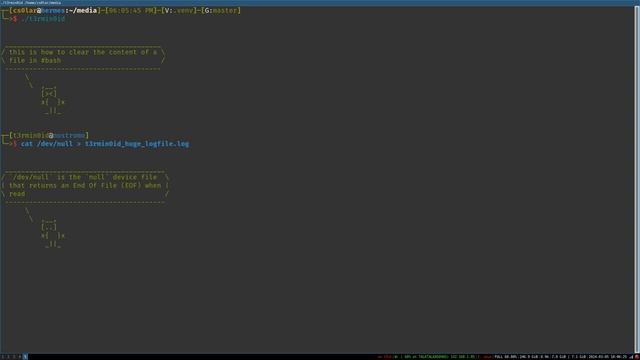 clear the content of a file in #linux #bash shell смотреть онлайн