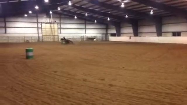 Olivia and Apple-2nd in Open 1D 2/26/16 Henderson UBRA. смотреть онлайн