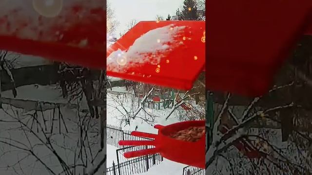 Bird feeder. #3dprinting #3дпечать #3дпринтер #bambulabx1carbon смотреть онлайн