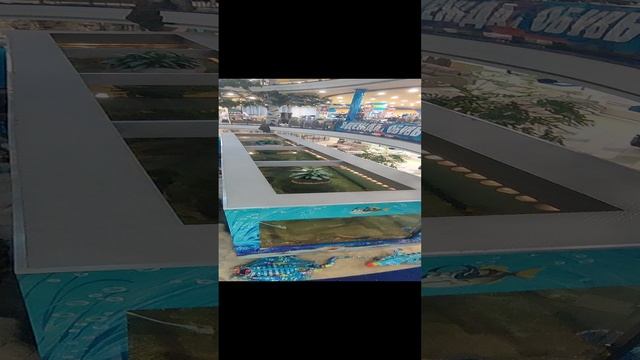 торговый центр грант. котельники смотреть онлайн