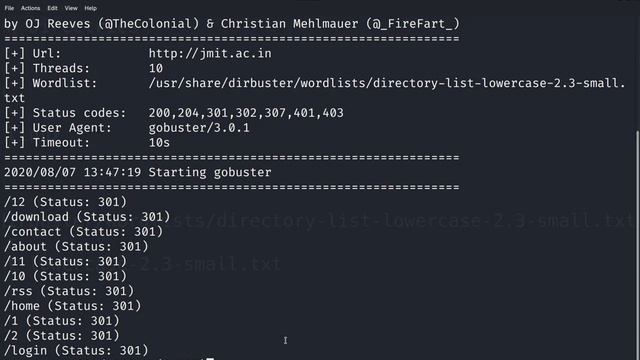 Brute Force hidd*n Directries using gobuster part 1 смотреть онлайн