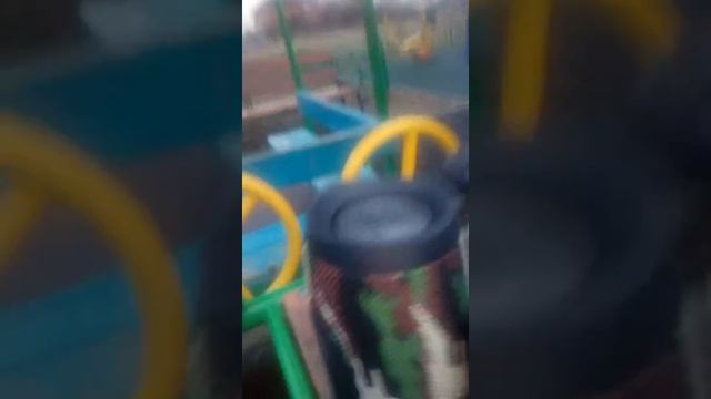 Bass Flip4 And Two Charge3