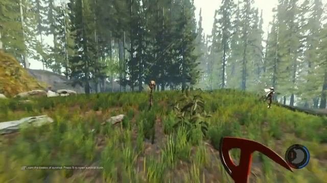 The Forest # 2 смотреть онлайн