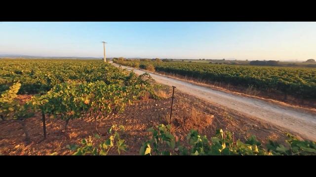 Long Range Flight Test And As Close As Possible To Obstacles And The Ground Of The Airscaphe X4