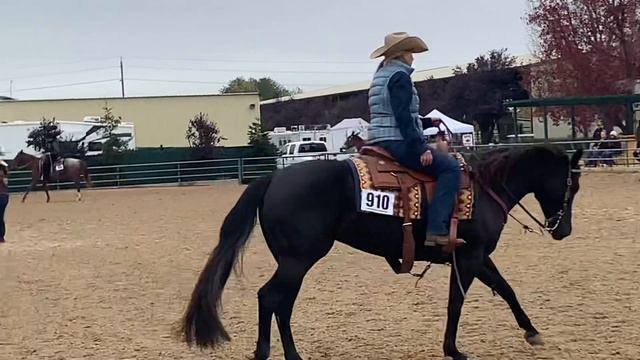 Western nationals nov 2021 смотреть онлайн