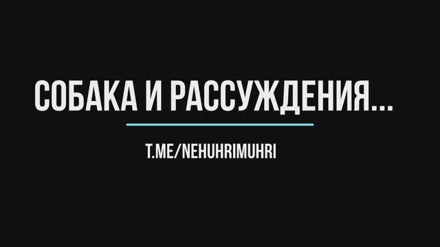 Собака, режим и рассуждения
t.me/nehuhrimuhri смотреть онлайн