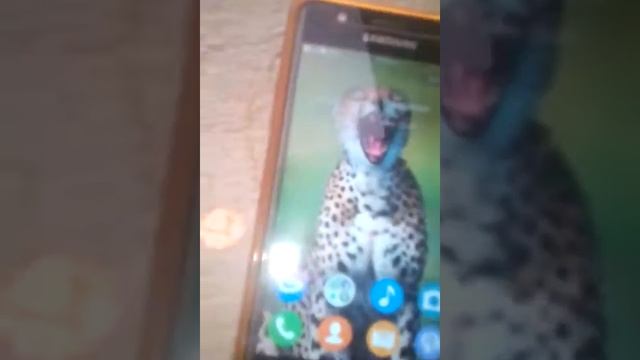Tizen mobile смотреть онлайн