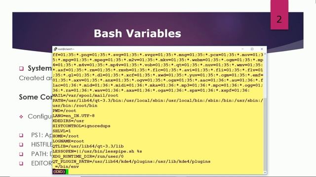 linux administrator:13 System Variables смотреть онлайн