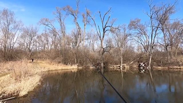 March 5th 2023 Pond Bfs