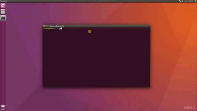 LINUX Command line Interface and BASH Scripting - ls command смотреть онлайн