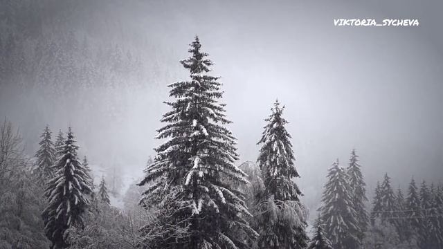 AquaBlue feat. MARO - Манерная смотреть онлайн