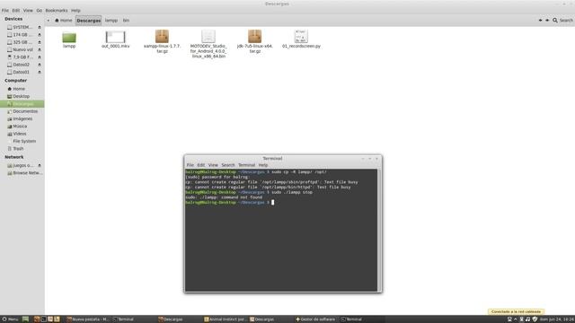 Xampp en Linux смотреть онлайн