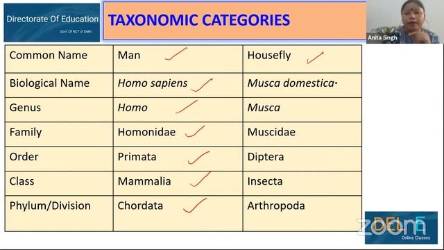 Biology (Class: XI) online class for Delhi government school students, Sep, 30 2020, 10:00 AM смотреть онлайн