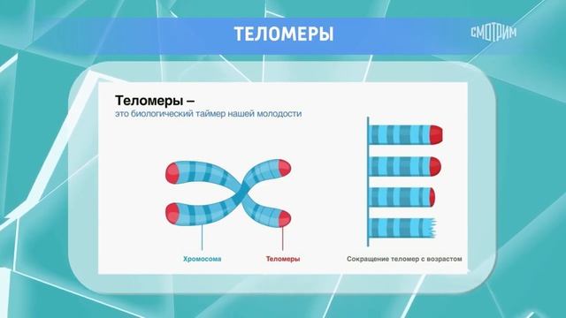 Путь к гармонии тела: держим вес под контролем! смотреть онлайн