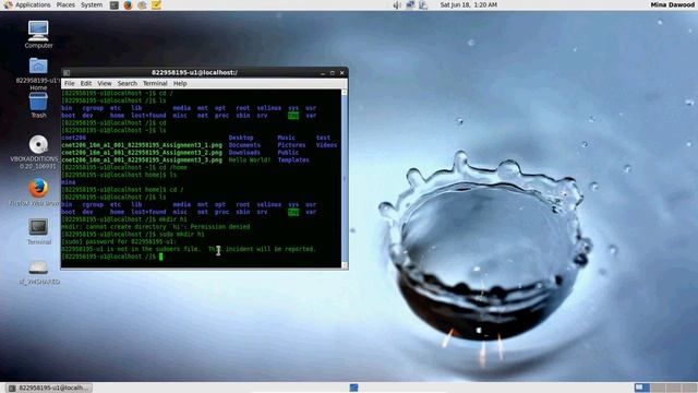 Mina's CNET206 SUDO Tutorial смотреть онлайн