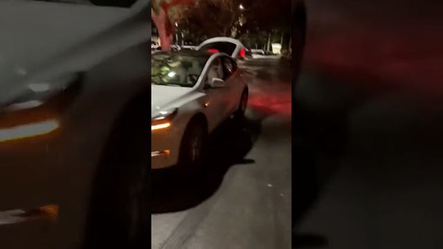 Tesla 2021 Christmas LightShow