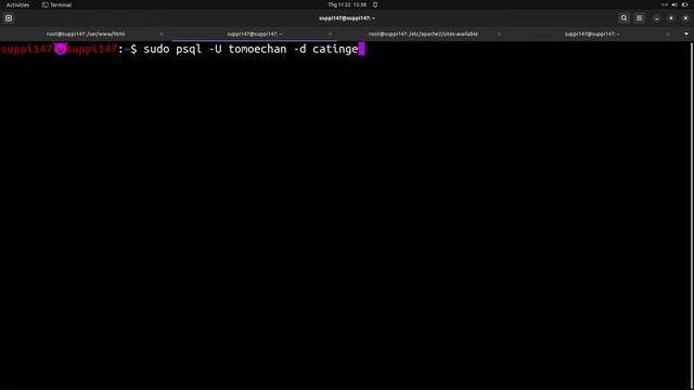 Deploy 2 Web Applications to the same Linux Server (Webserver and DNS server) смотреть онлайн