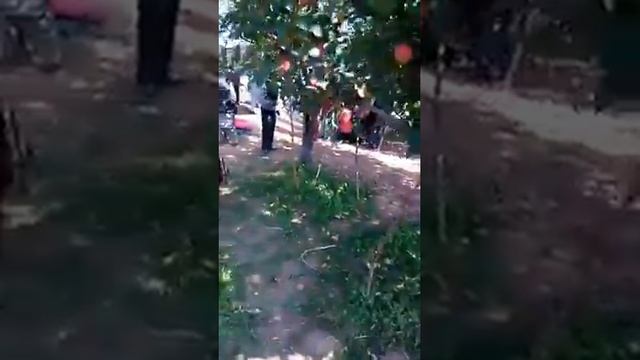 Apple garden ( kashmir) смотреть онлайн