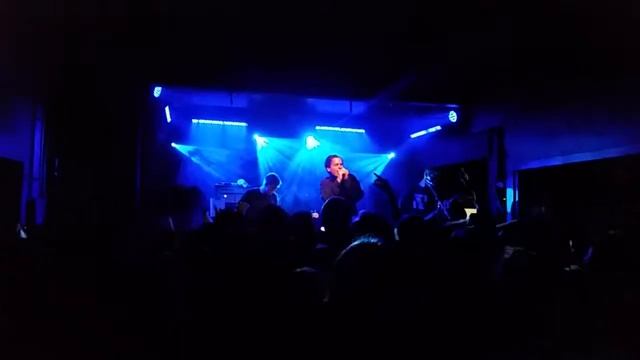 Basement - Bad Apple live смотреть онлайн