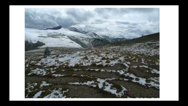 EnviroSensing: Sensor Data, Technology, and Best Practices смотреть онлайн