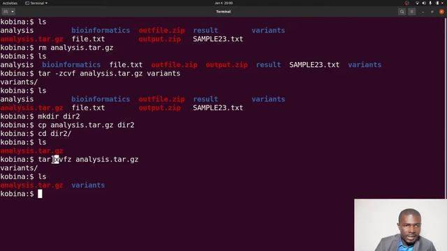 Linux for Beginners in Bioinformatics | How to extract and decompress files (unzip & tar xvfz) смотреть онлайн