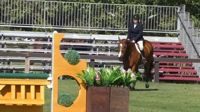 NEE Week 3 Grand Hunter 20A Low Hunters 3'0 A Under Saddle 5/30/19