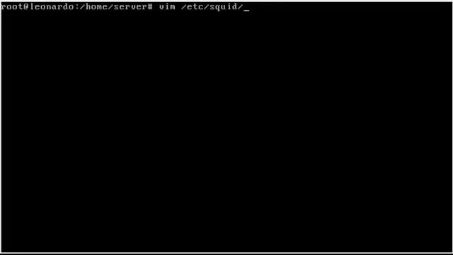 Configurando proxy transparente com squid Parte 1 смотреть онлайн