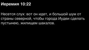 День 206. Библия за год. С митрополитом Иларионом.