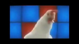 НОЛЬ НОЛЬ НОЛЬНОЛЬНОЛЬ - КОКОКОКО КОКОКО