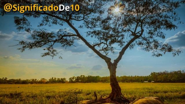 Significado del nombre Sancho 【Significado de los Nombres】 смотреть онлайн
