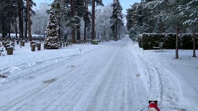 Stockholm Walks: World Heritage Cemetary In Stockholm (Skogskyrkogården)