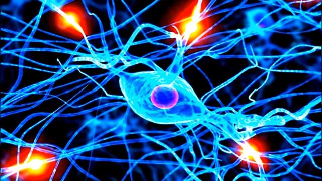 7 Benefits Of Fasting That Will Surprise You surely смотреть онлайн